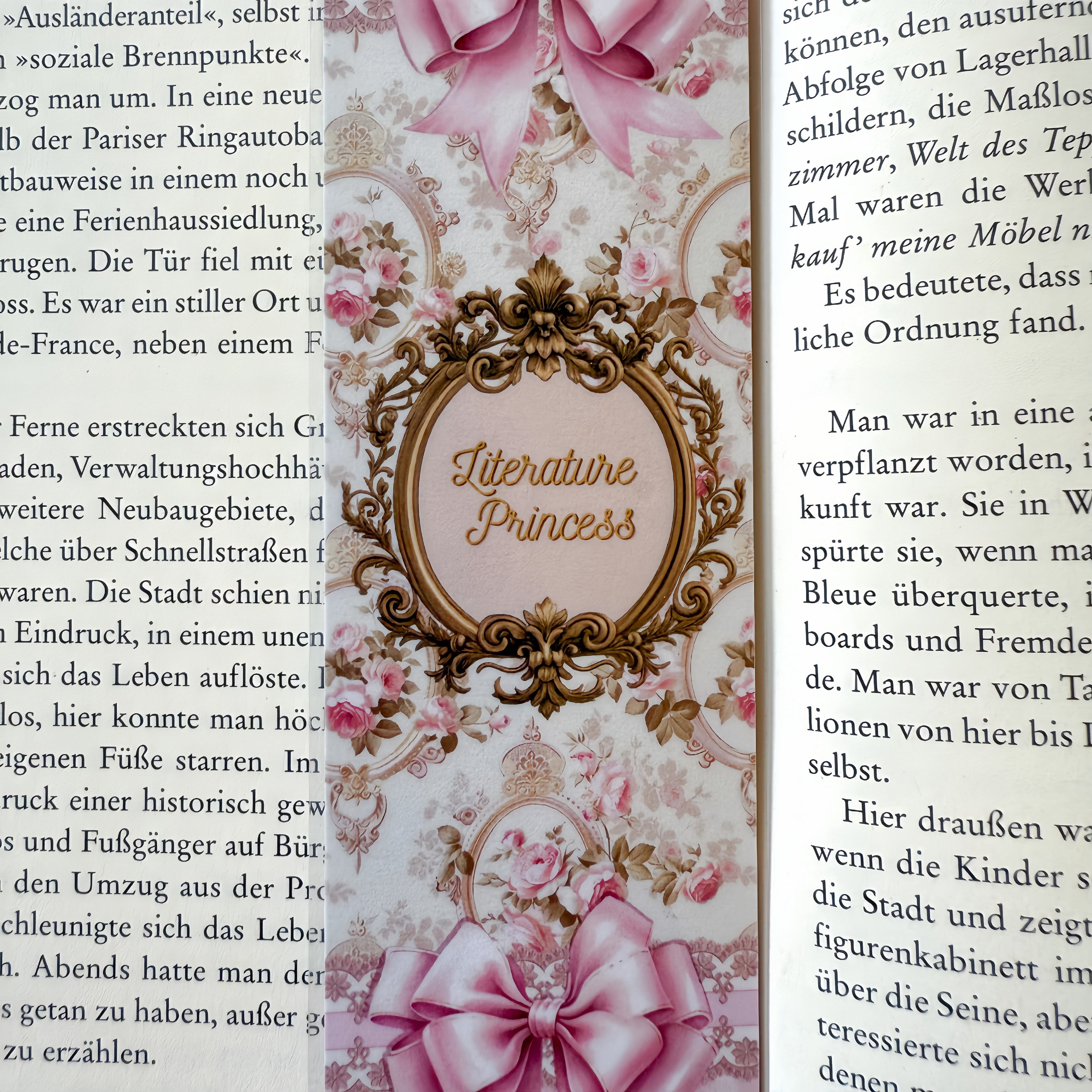 Literature Princess ᥫ᭡