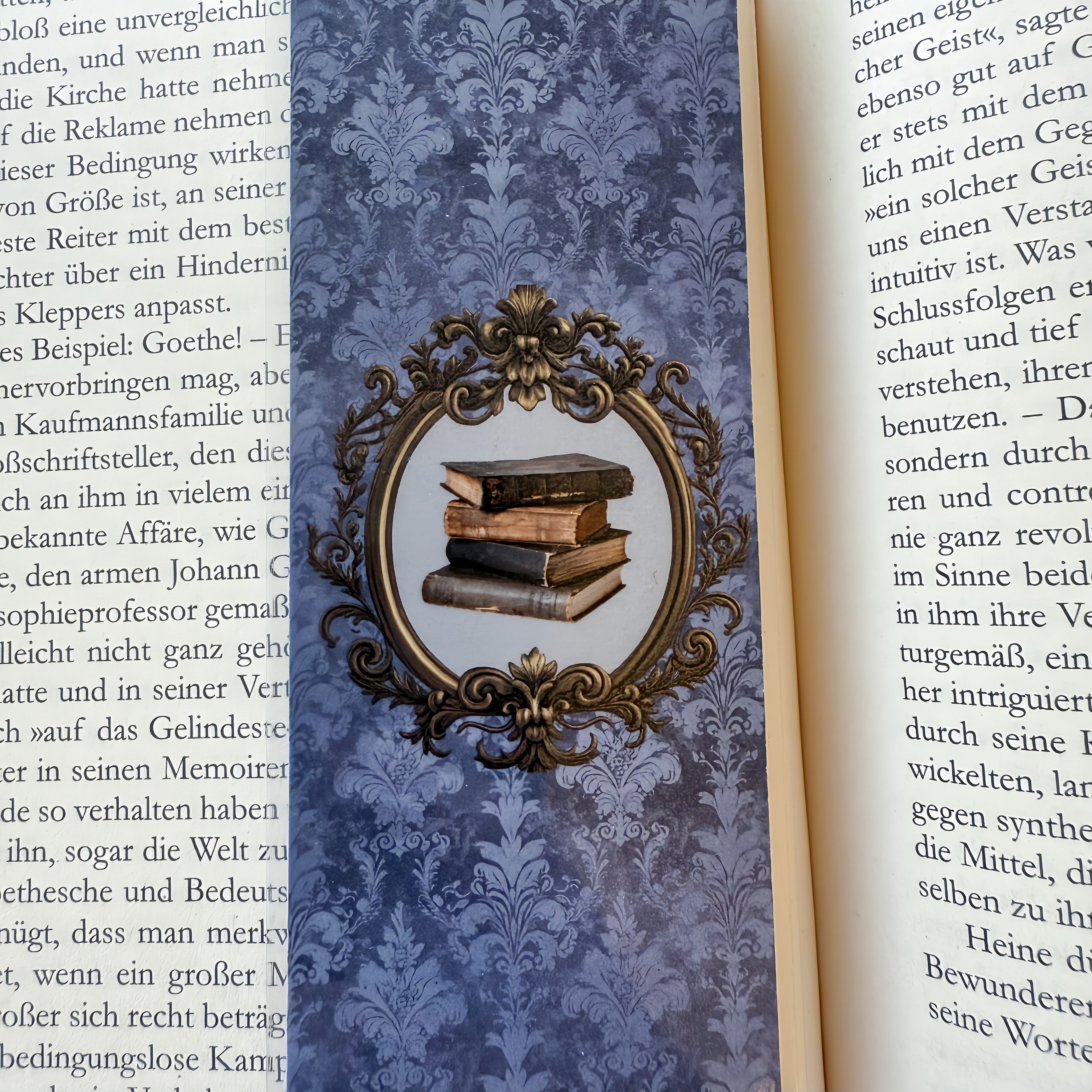 Gentleman’s Library ⊹ ࣪ ˖